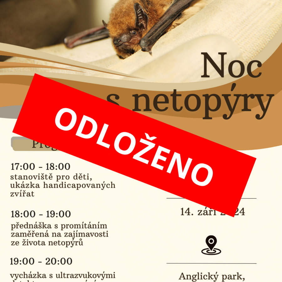 Noc s netopýry na Dobříši 2024