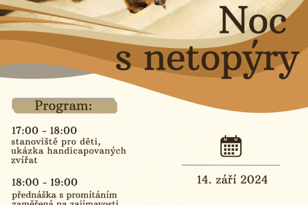 Noc s netopýry na Dobříši 14.9. 2024