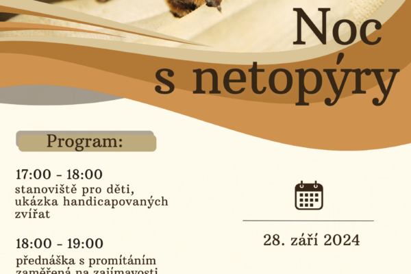 Noc s netopýry na Dobříši 28.9. 2024