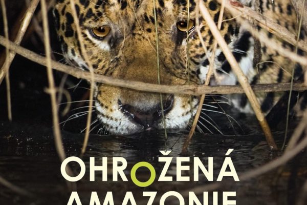 OHROŽENÁ AMAZONIE 18.10.2024